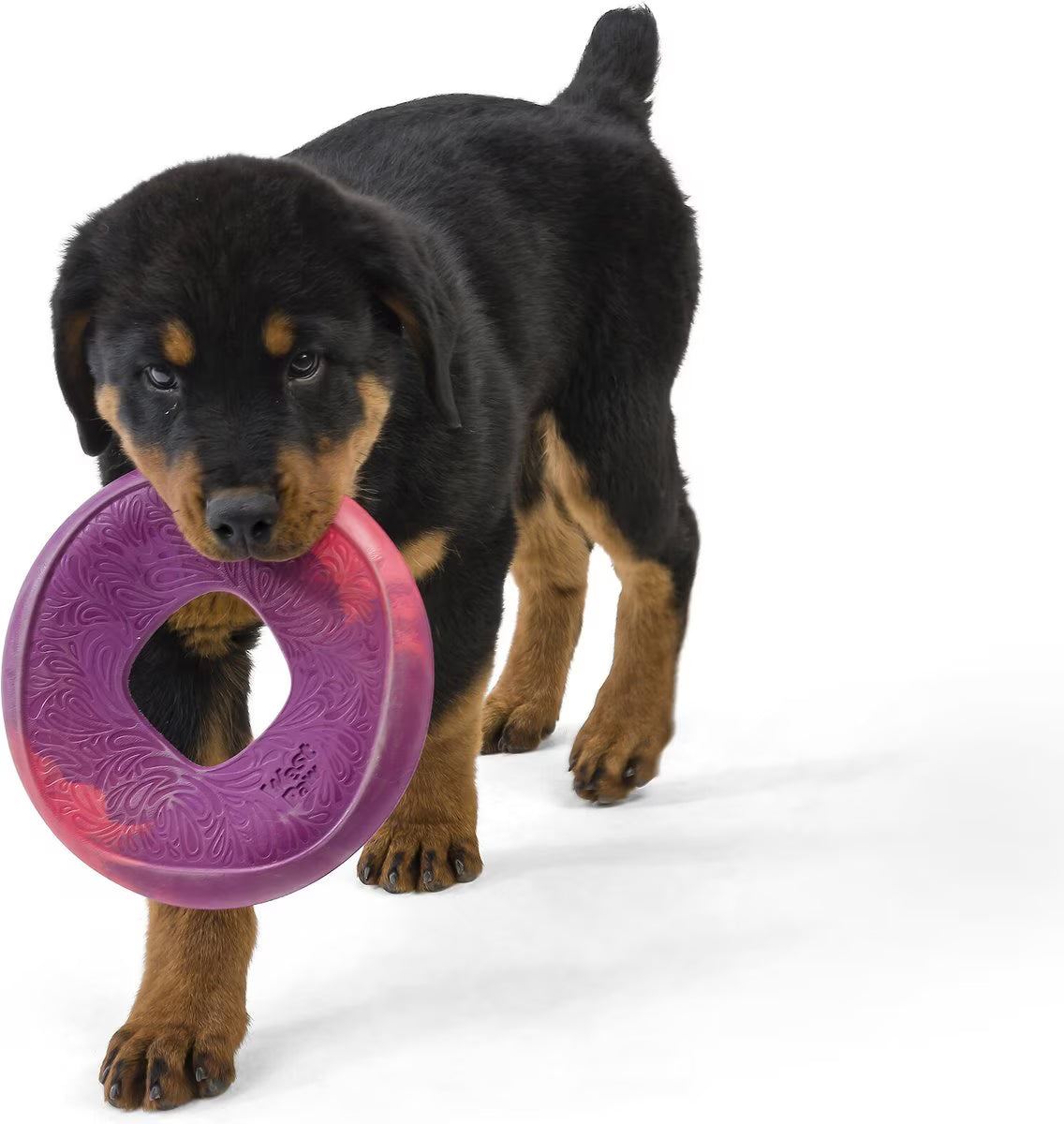 West Paw Sailz Large 8.75 Inch for Dogs