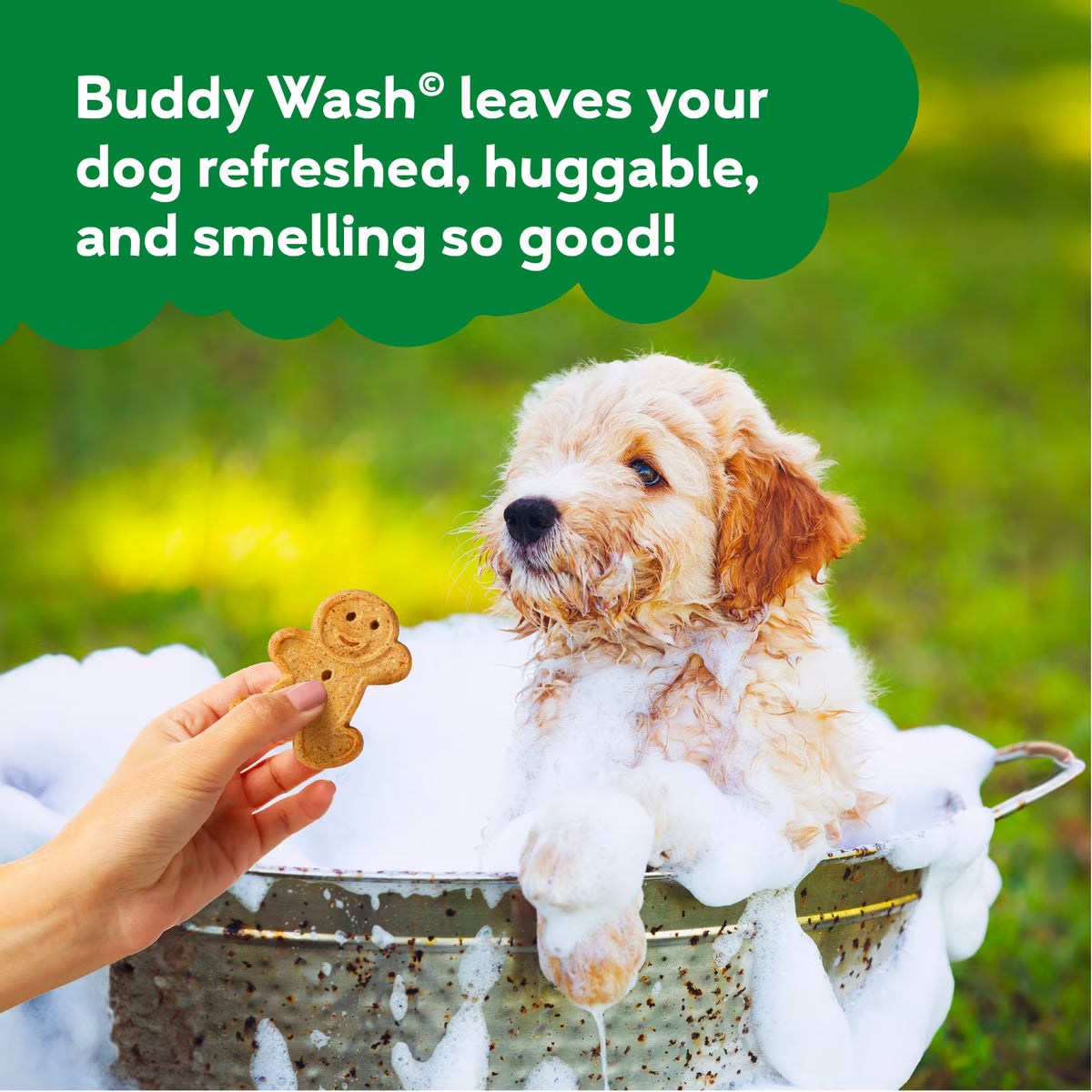 Buddy Wash Green Tea & Bergamot