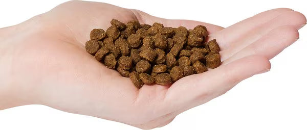 FirstMate Limited Ingredient Chicken With Blueberries Small Bites for Dogs