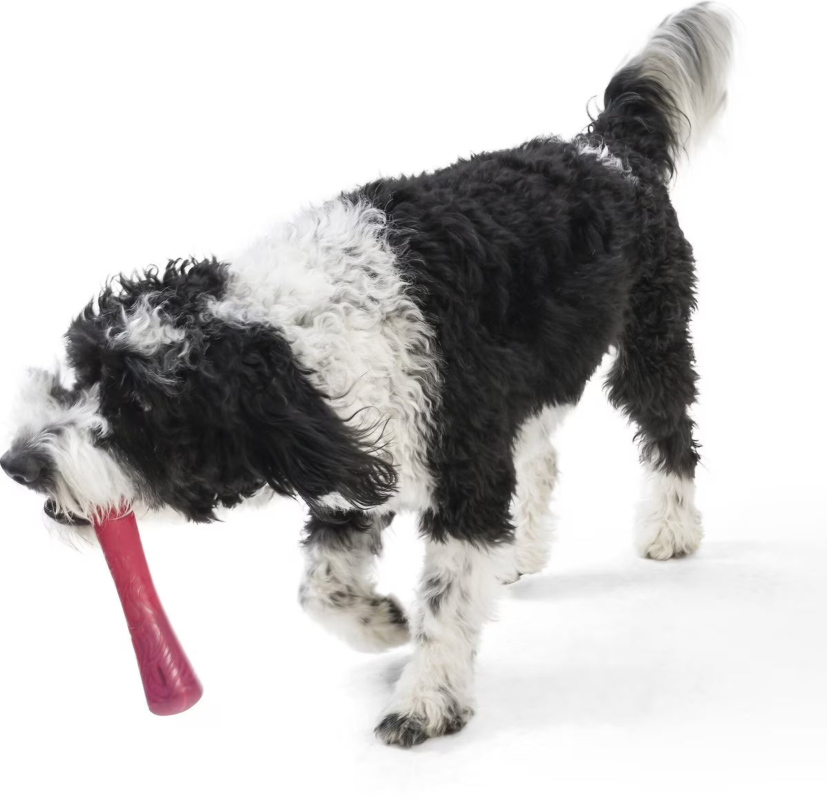 West Paw Drifty Large 8.5 Inch for Dogs