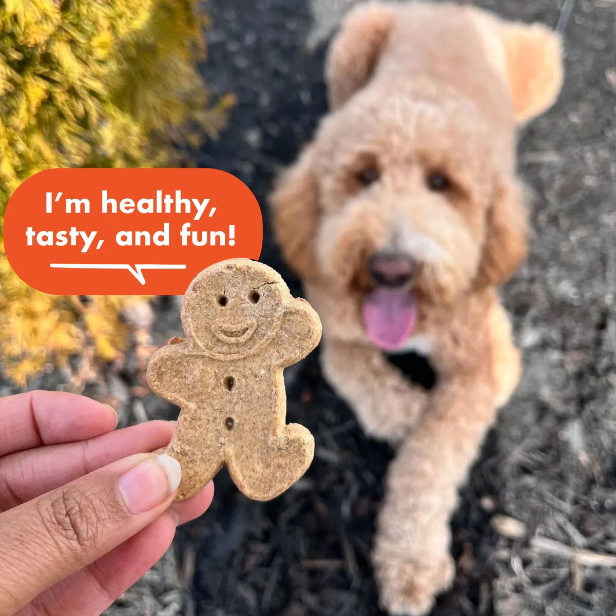 Buddy Biscuits Grain Free Crunchy Treats with Peanut Butter