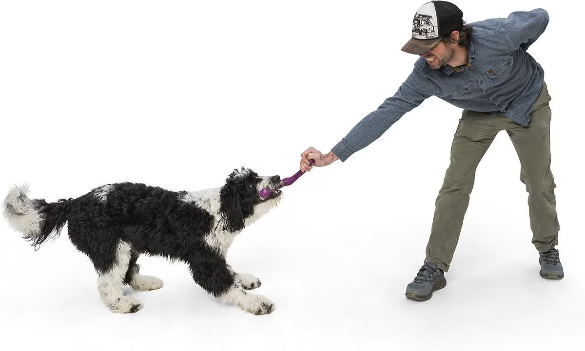 West Paw Snorkl Large 8.25 Inch for Dogs