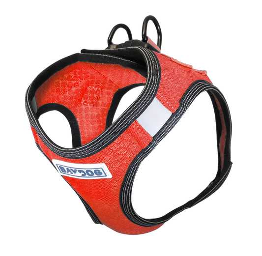 Baydog Red Liberty Harness