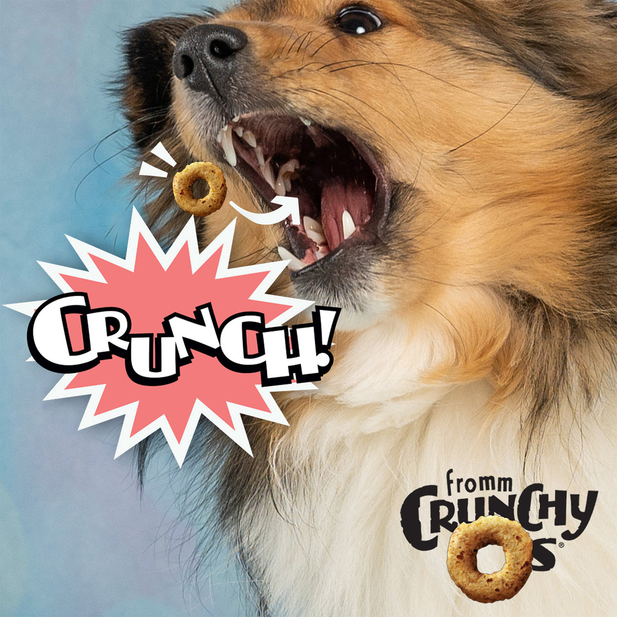 Fromm Crunchy O's CranLiver Kaboom! Dog Treats