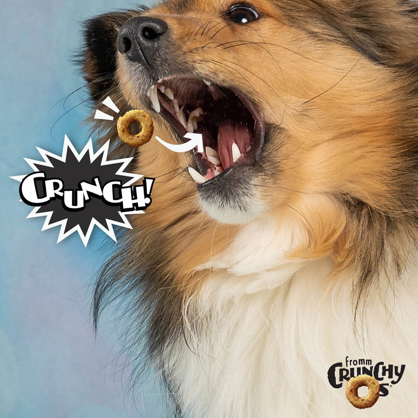 Fromm Crunchy O's Bacon Blasters Dog Treats