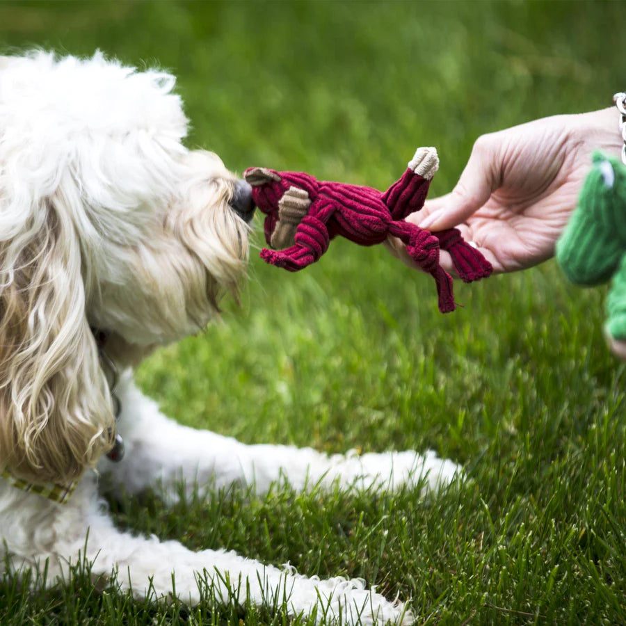 HuggleHounds Assorted Wee Huggles Dog Toy