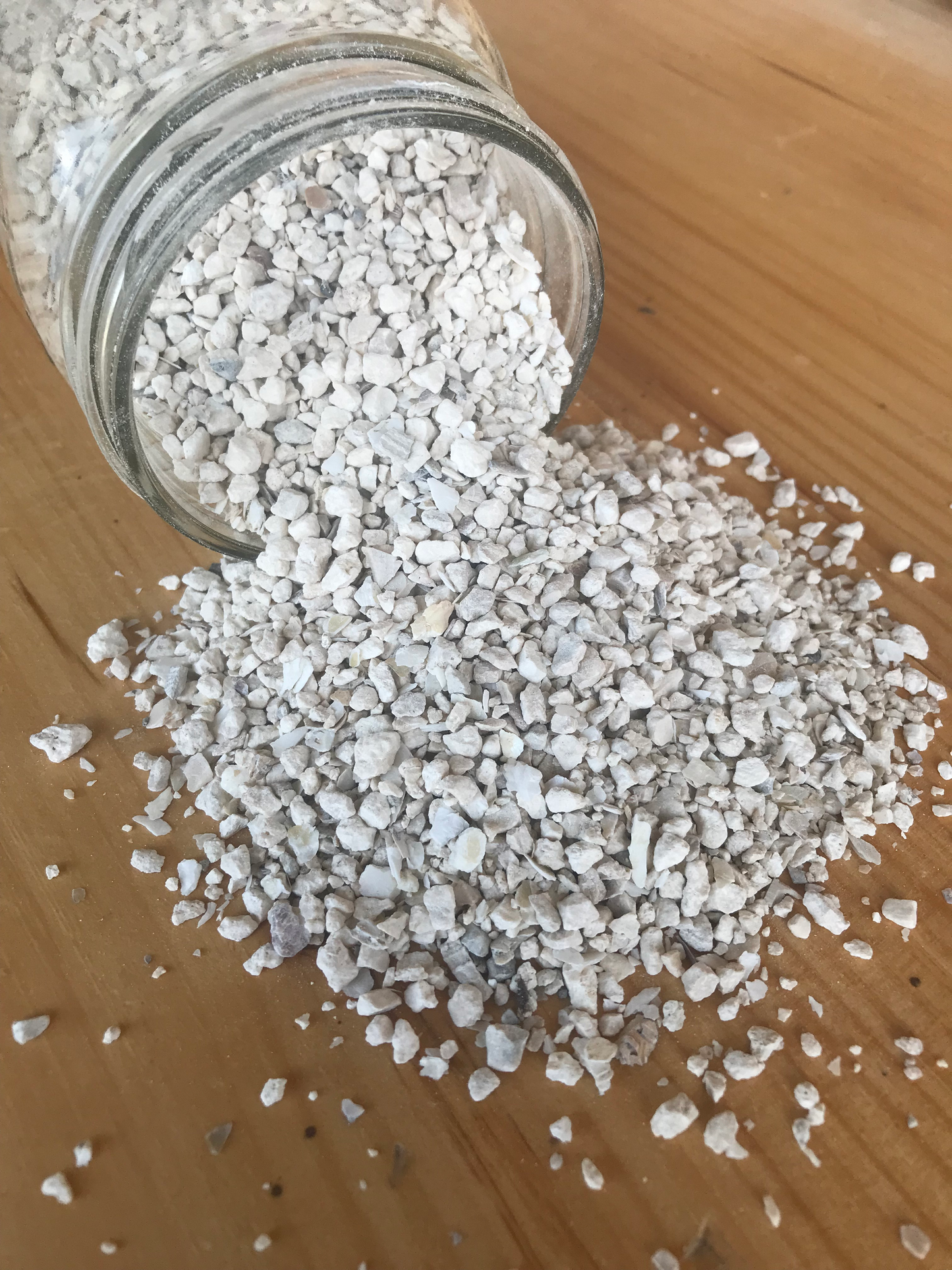Coastal Oyster Shell Calcium Supplement