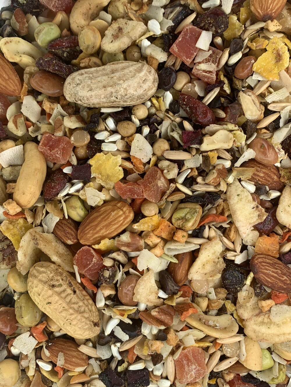 Goldenfeast Paradise Treat Mix for Parrots, Macaws and Large Birds