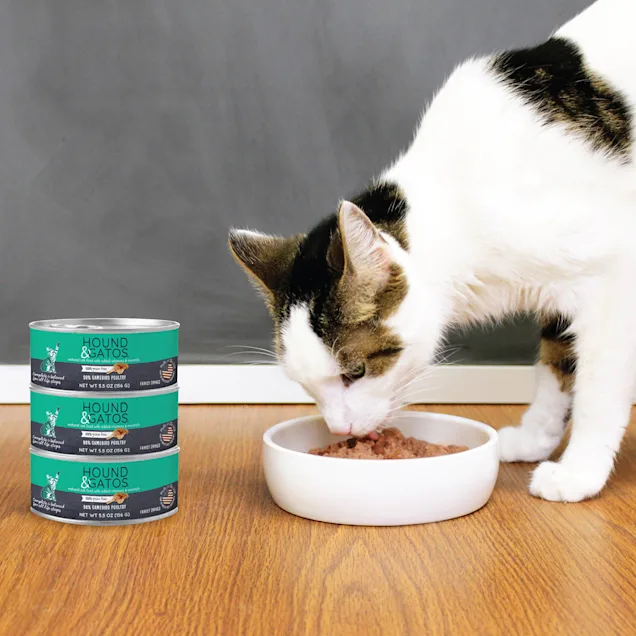 Hound & Gatos Grain Free Gamebird Poultry Canned Cat Food