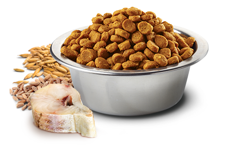Farmina Natural & Delicious Ocean Cod, Spelt, Oats and Orange Adult Mini Dog Food
