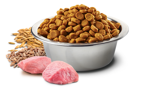Farmina Natural & Delicious Ancestral Grain Lamb and Blueberry Medium & Maxi Puppy Dog Food