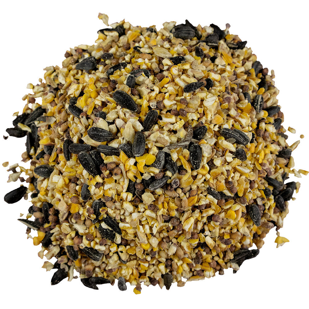 Bird Pro Everyday Economy Seed
