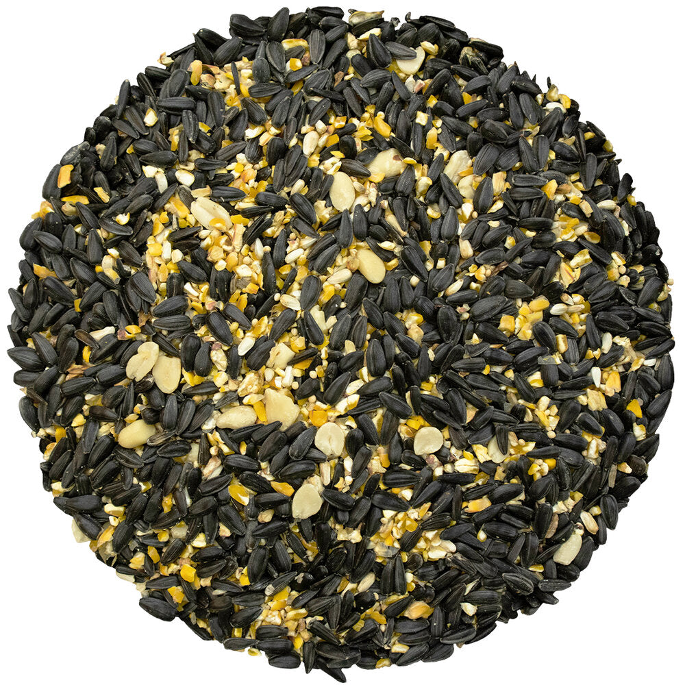 Bird Pro Year Round Favorite Seeds