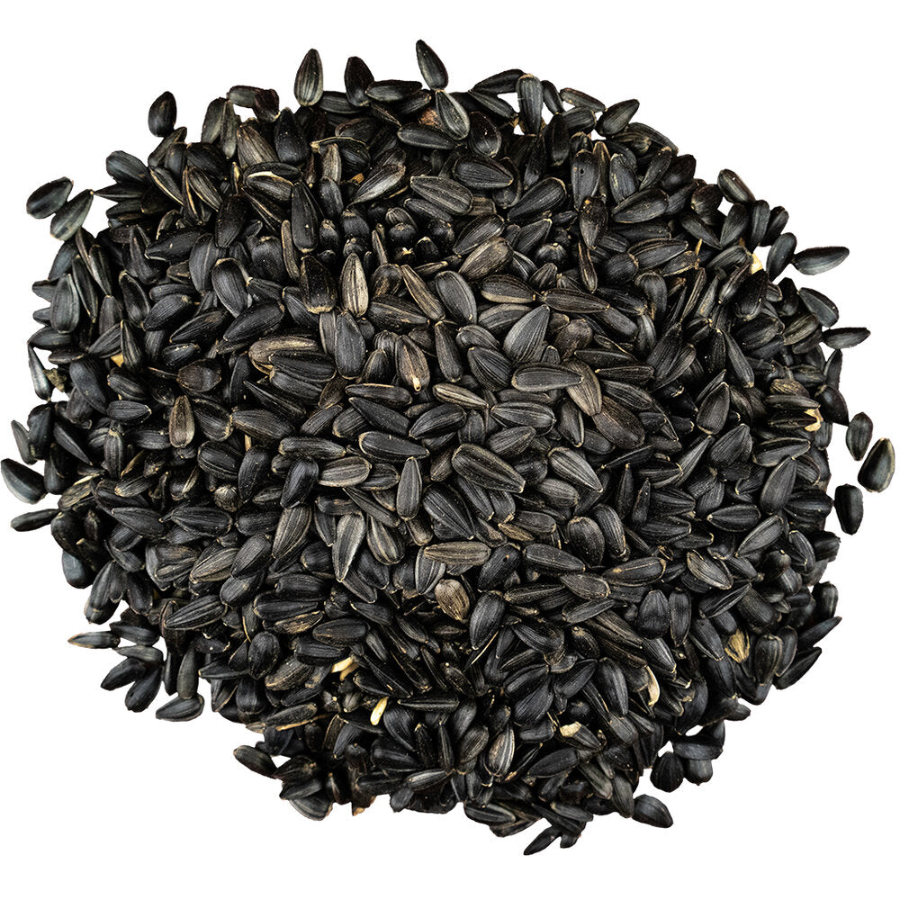 Bird Pro Black Oil Sunflower Seeds