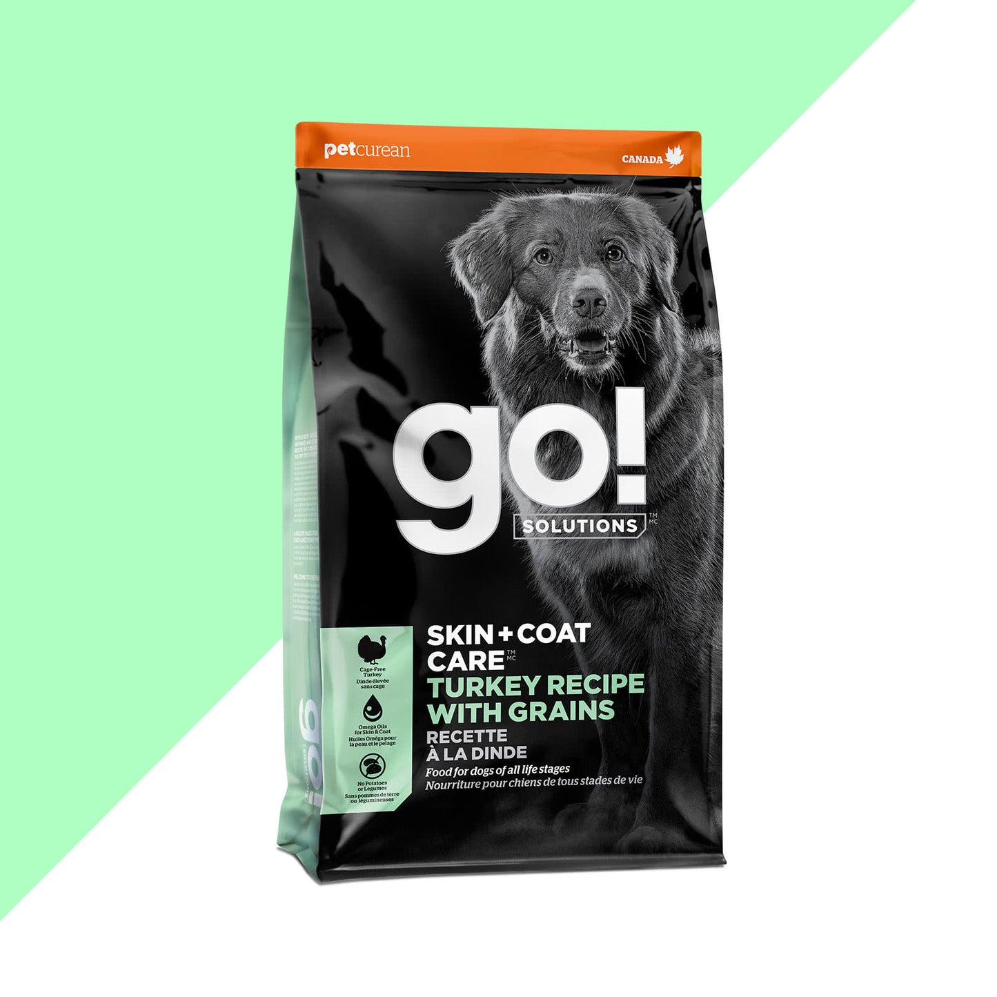 Go! Skin + Coat Care Turkey Recipe with Grains Dry Dog Food