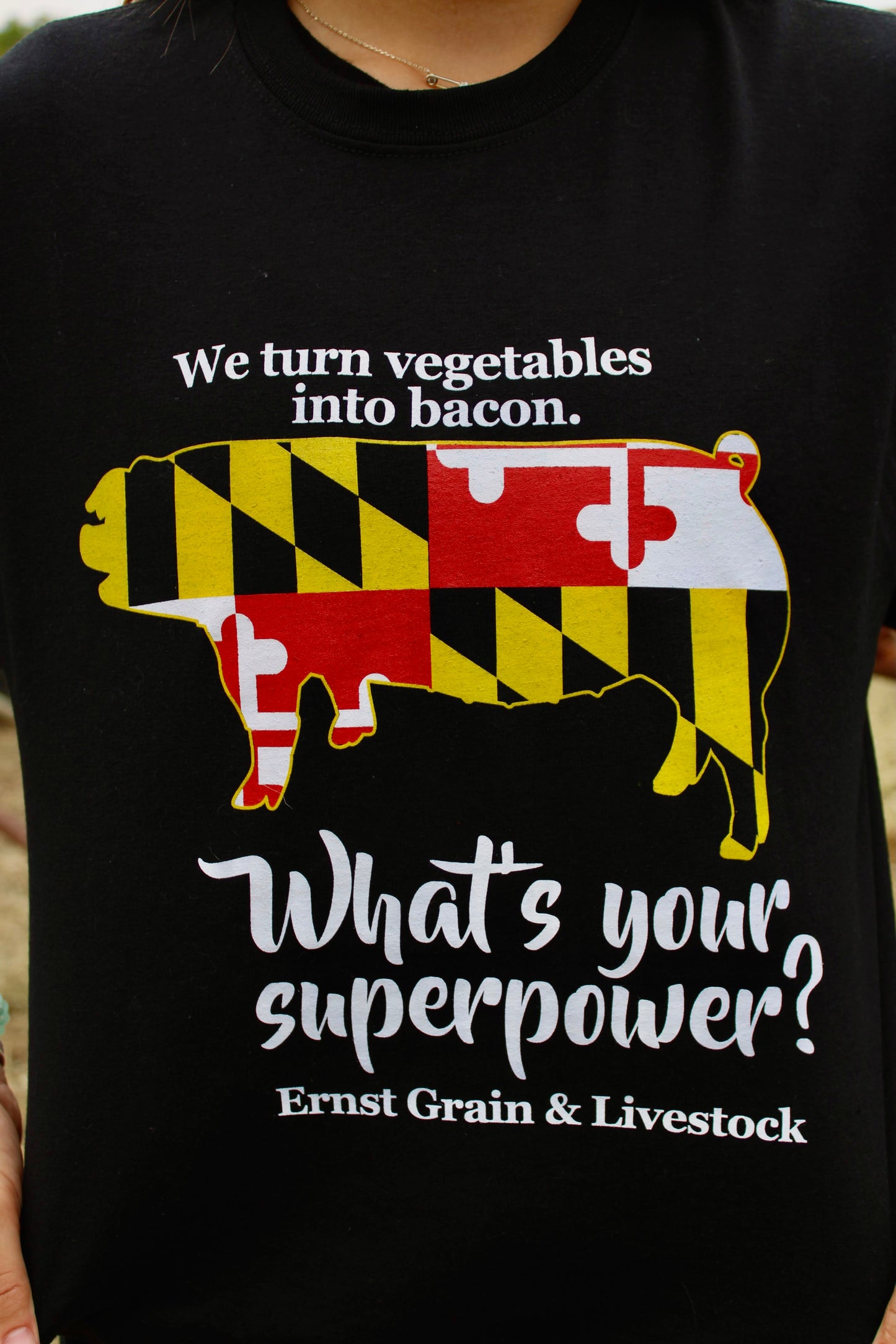 Ernst Grain & Livestock MD Pig Superpower T-Shirt