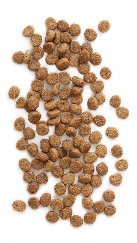 Earthborn Holistic® Feline Vantage™