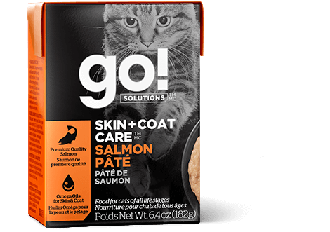 Go! Skin + Coat Care Salmon Pâté for cats