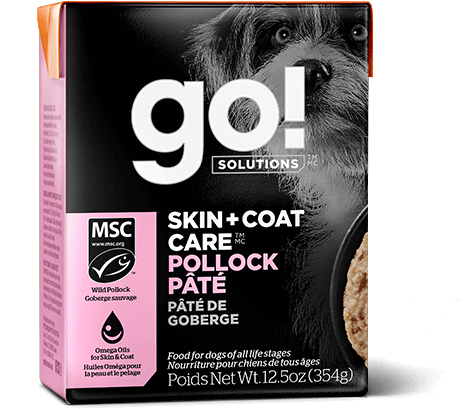 Go! Skin and Coat Care Pollock Pâté for Dogs 
