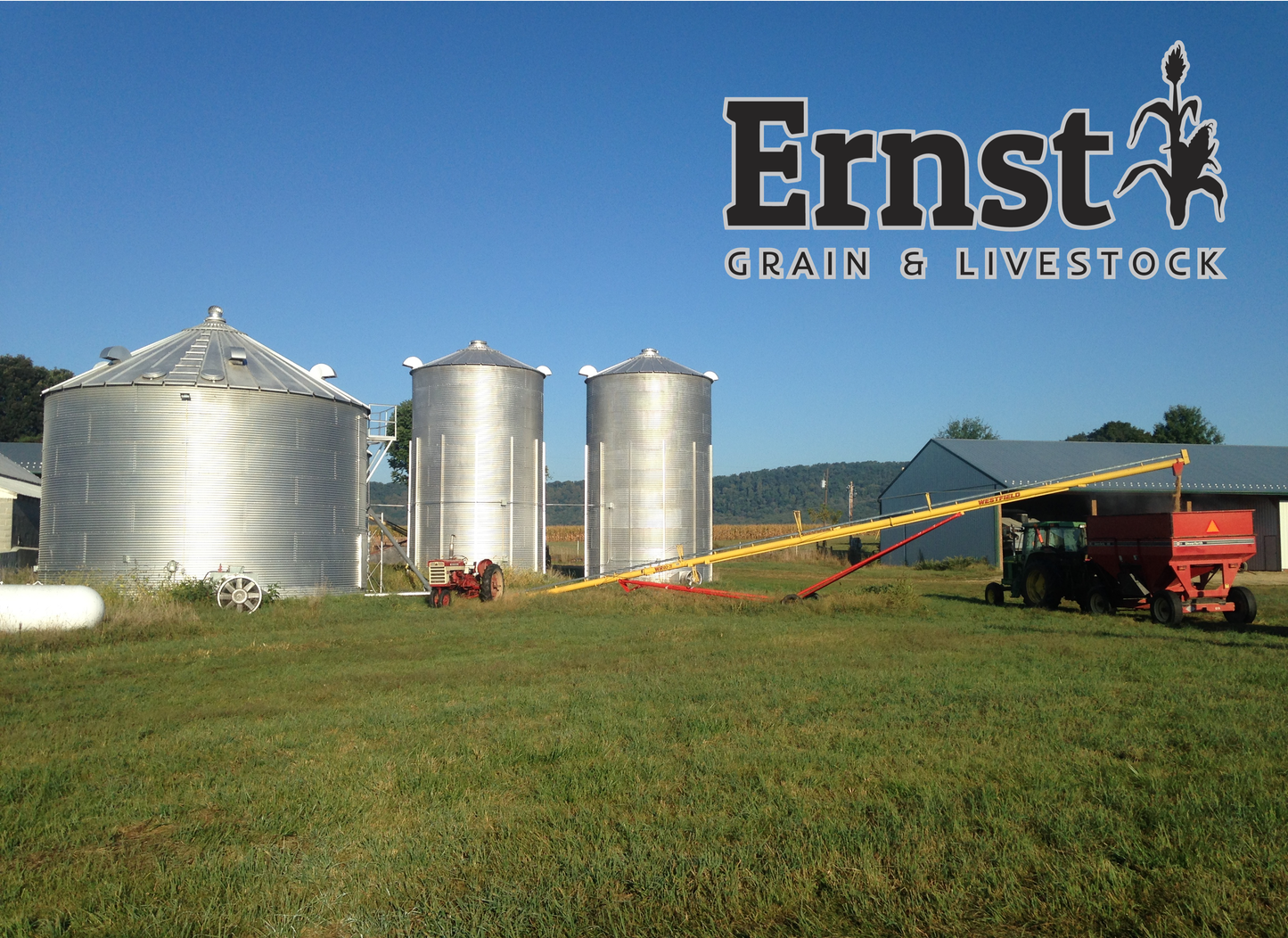 Ernst Grain Oats, Non-GMO