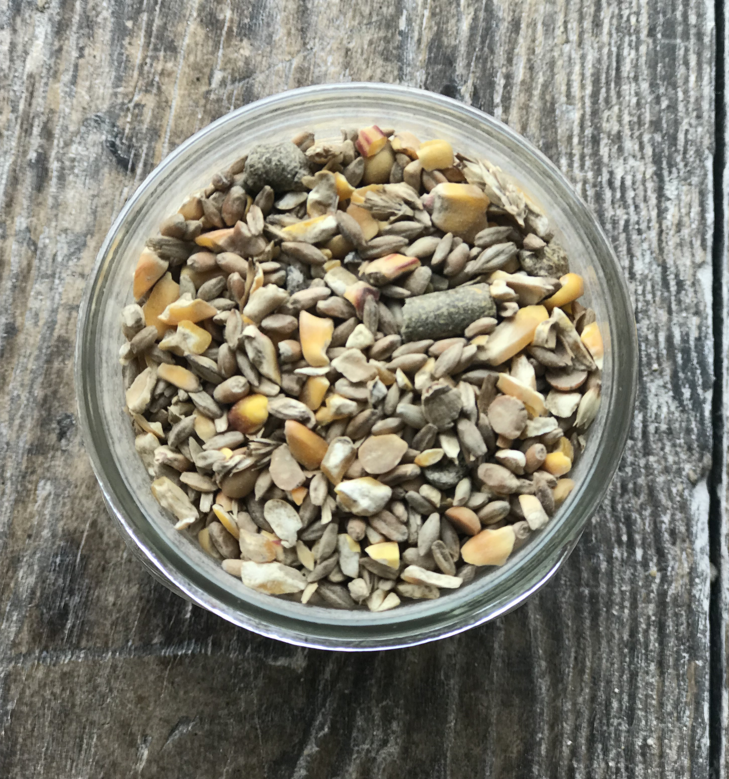 Wholesome Harvest Non-GMO Potbelly & Mini Pig Feed 12% For mature Potbelly and Mini Pigs