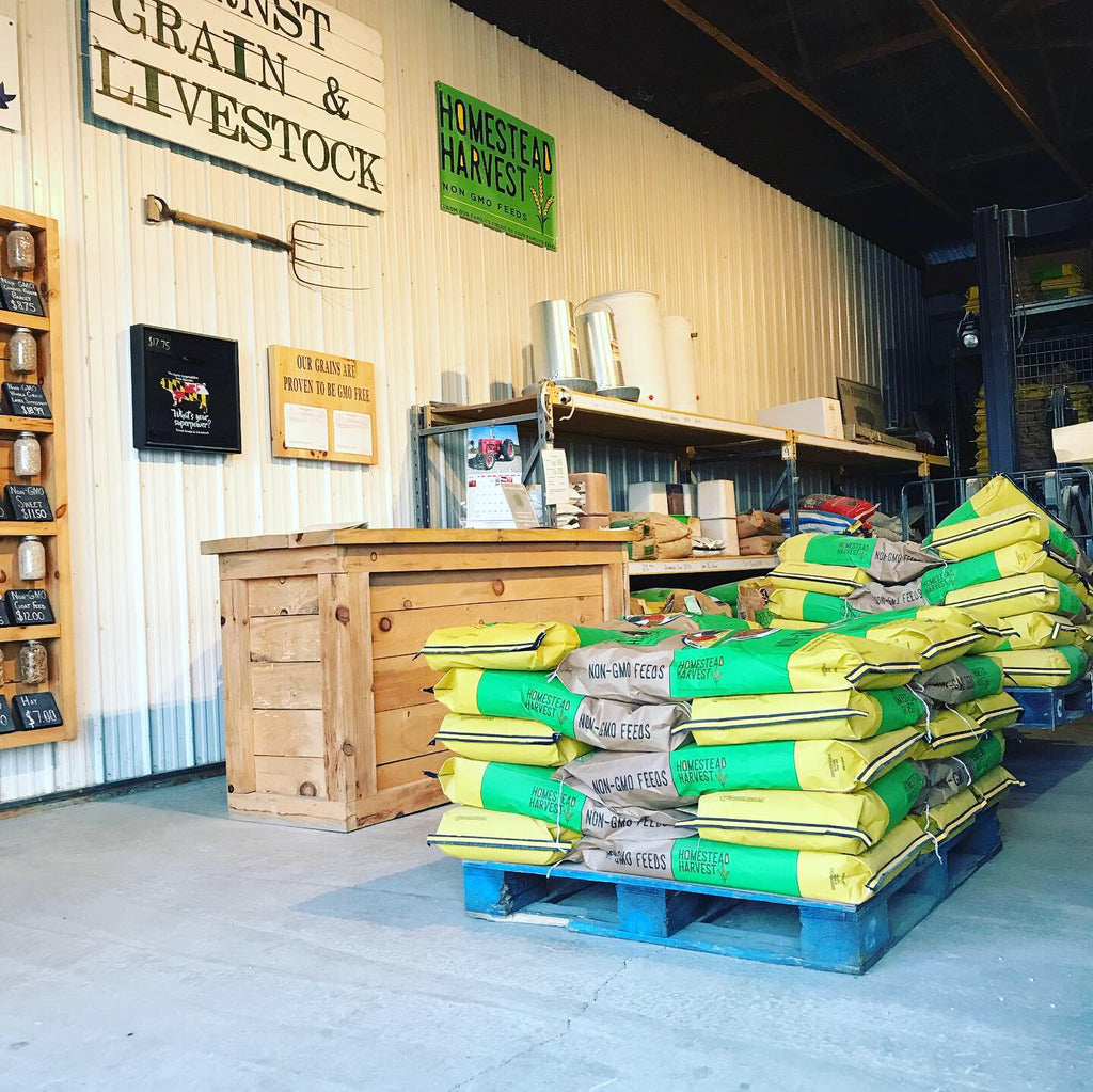 Homestead Harvest NonGMO Turkey & Game Bird Starter 28 for Growing T