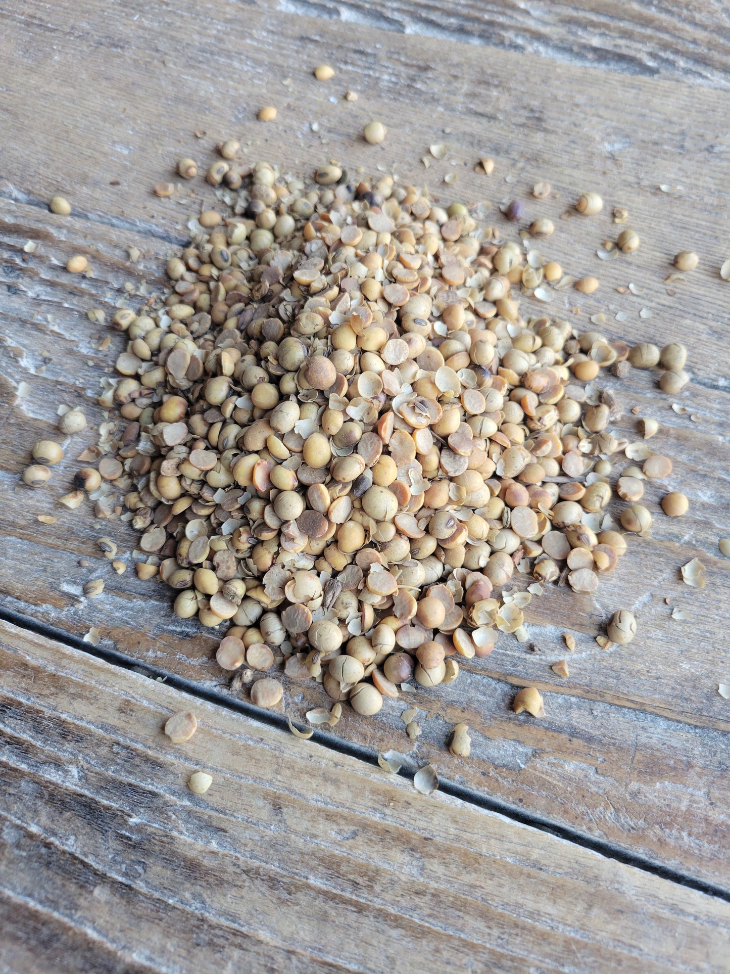 Roasted Soybeans, Non-GMO
