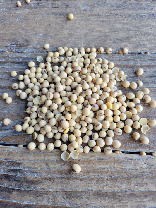 Soybeans, Non-GMO