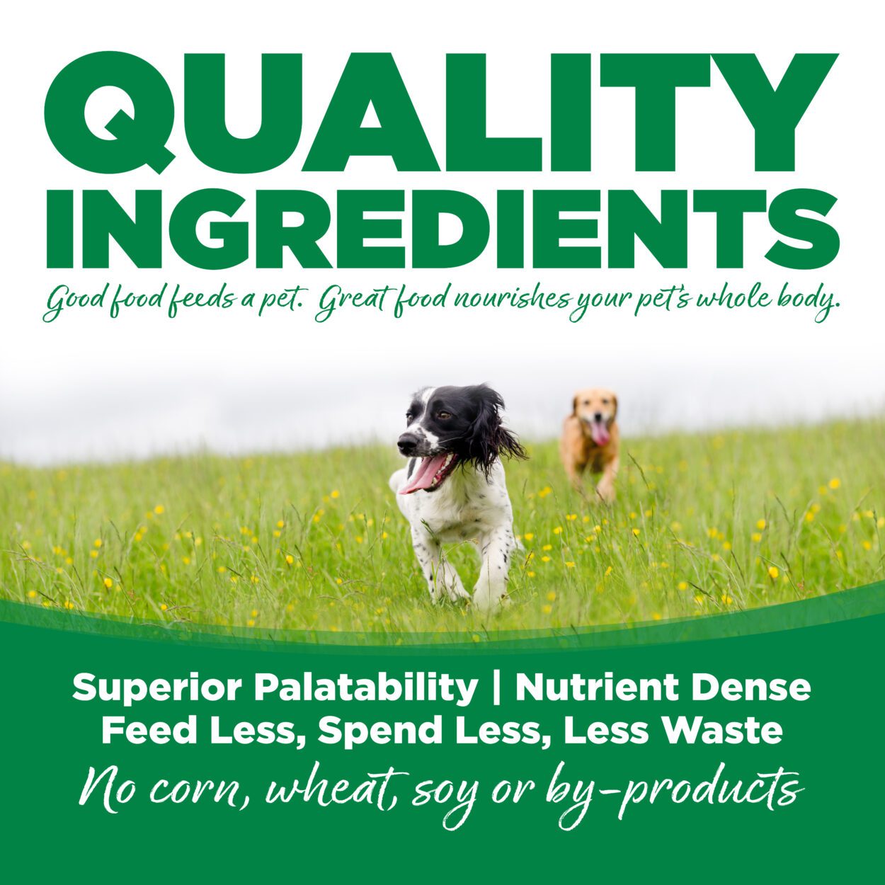 Nutrisource Choice for Dogs Chicken Meal & Barley