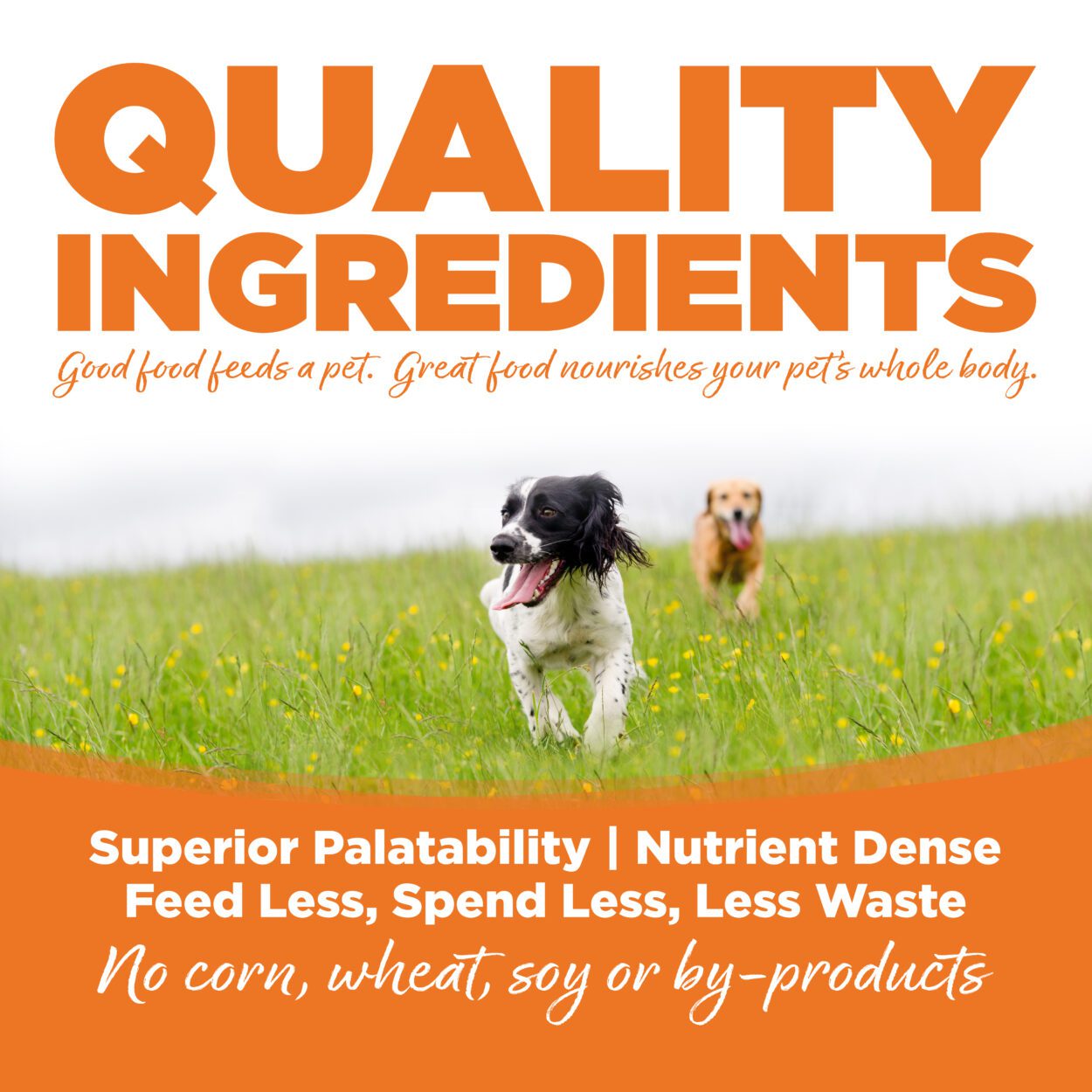 Nutrisource Choice for Dogs Turkey Meal & Barley Recipe