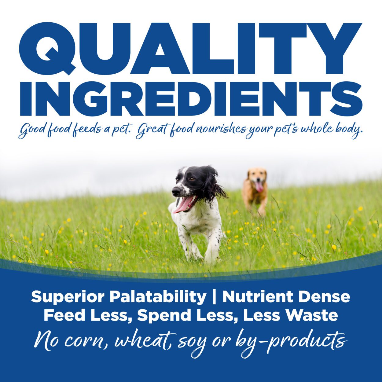 Nutrisource Choice Whitefish Meal and Rice Recipe Dry Dog Food