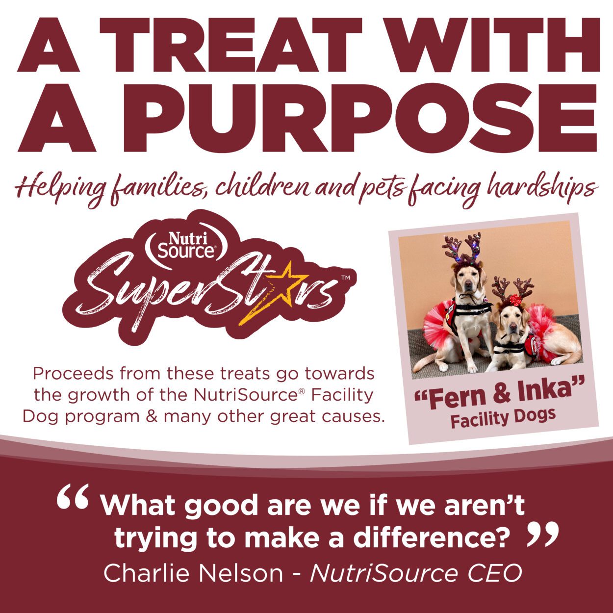 Nutrisource SuperStars Soft and Tasty Training Treats with Beef For Dogs