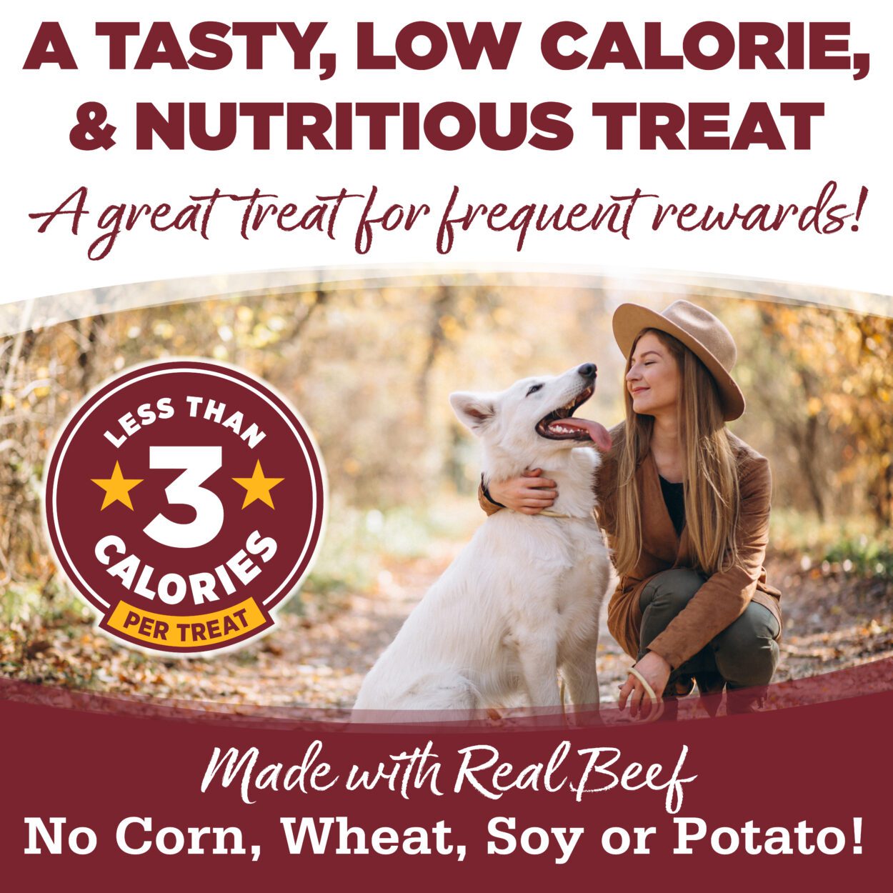 Nutrisource SuperStars Soft and Tasty Training Treats with Beef For Dogs