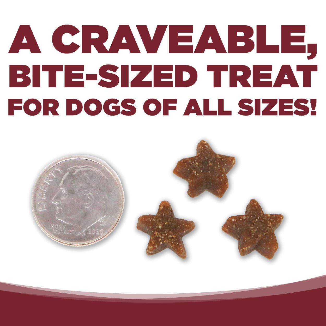 Nutrisource SuperStars Soft and Tasty Training Treats with Beef For Dogs