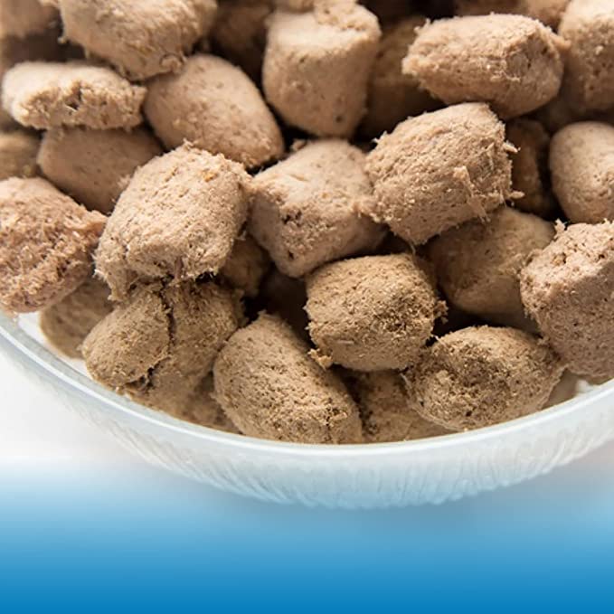 Northwest Naturals Freeze Dried Turkey Recipe for Cats