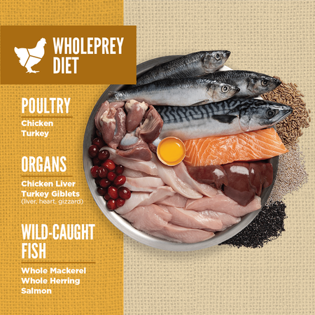 Orijen Amazing Grains Dry Puppy Food