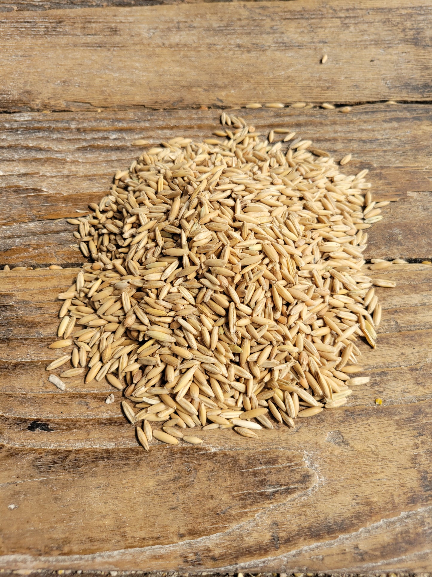 Ernst Grain Oats, Non-GMO