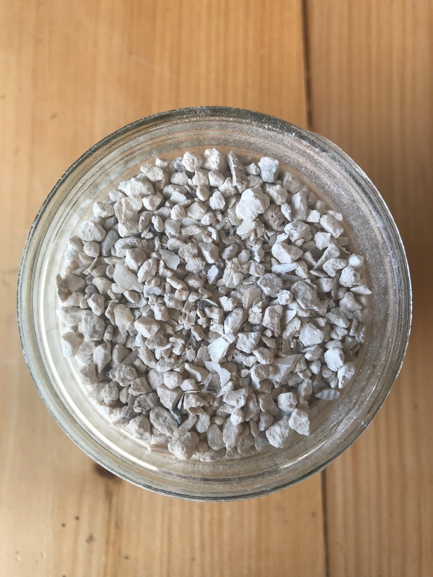 Coastal Oyster Shell Calcium Supplement