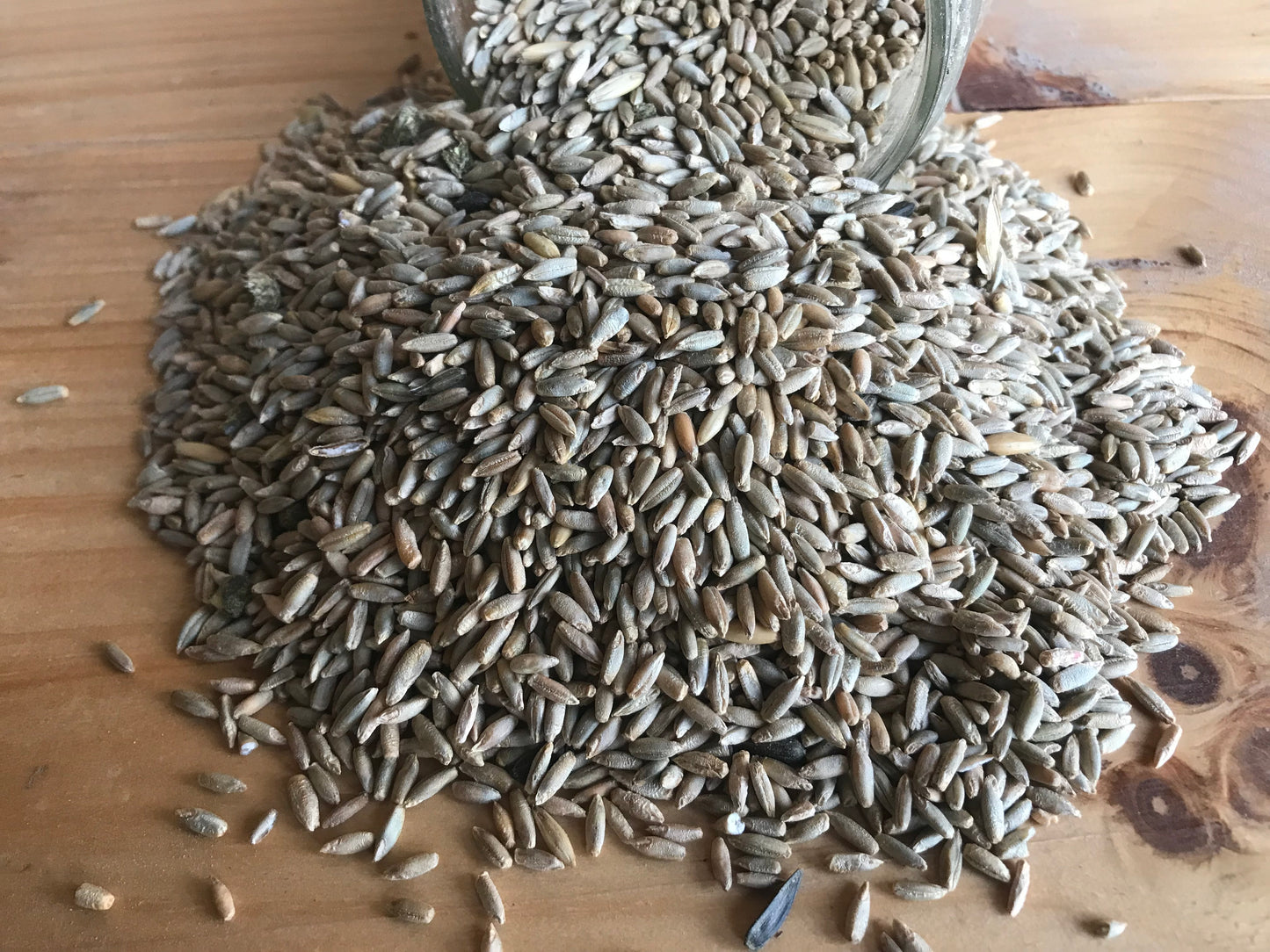 Ernst Grain Rye Grain, Non-GMO