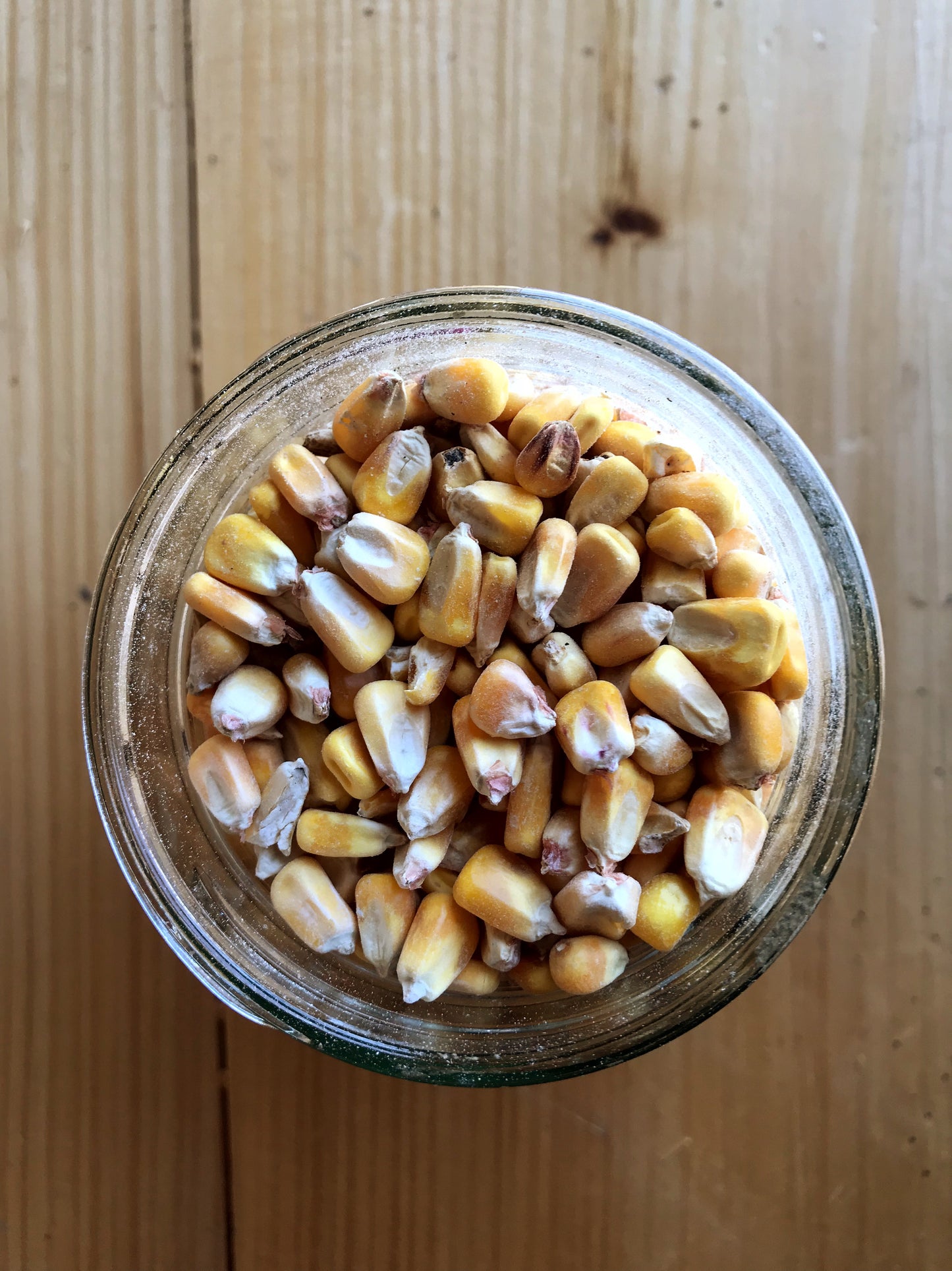 Ernst Grain Shelled Corn, Non-GMO