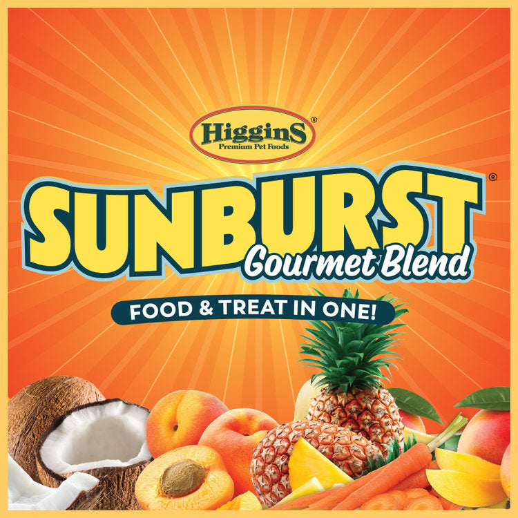 Higgins Sunburst Gourmet Blend Macaw Food