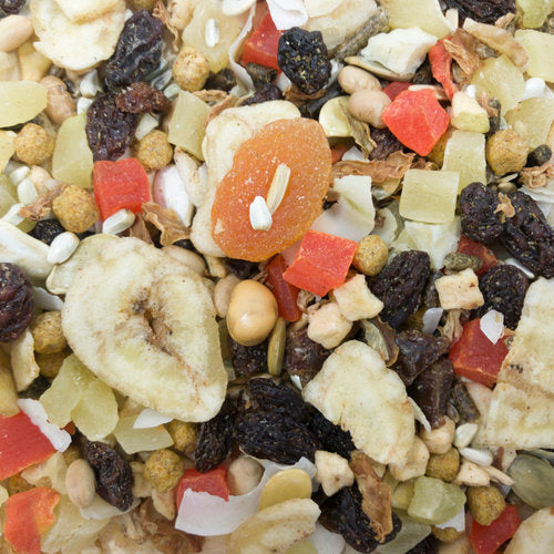 Higgins Sunburst Gourmet Natural Fruits & Veggies (Large) Conures, Parrots & Macaw Treats