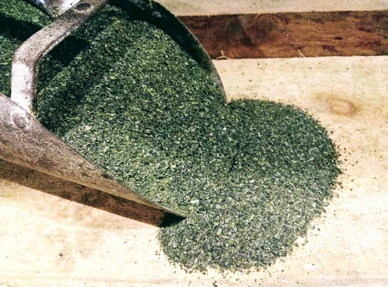 Thorvin Organic Kelp Meal – Natural Supplement & Fertilizer