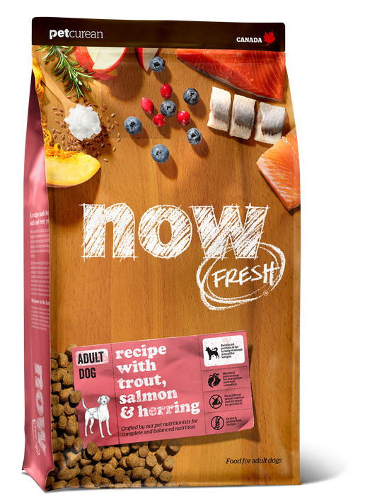 Now Fresh Grain Free Fish Recipe for Adult Dogs