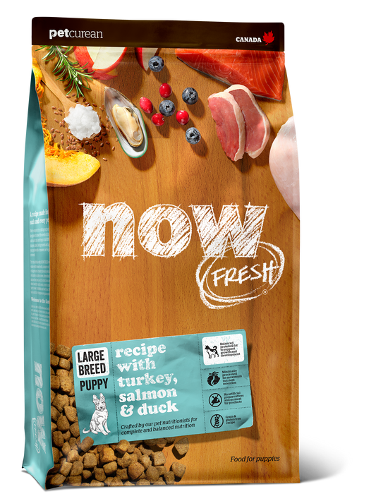Now! Fresh Grain Free Large Breed Puppy Food Recipe for Dogs