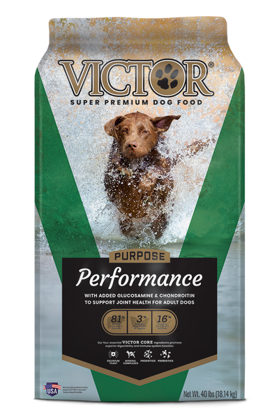 ドッグフード mika Forza10 Nutraceutic Actiwet Renal Support Wet Dog Food – Forza10