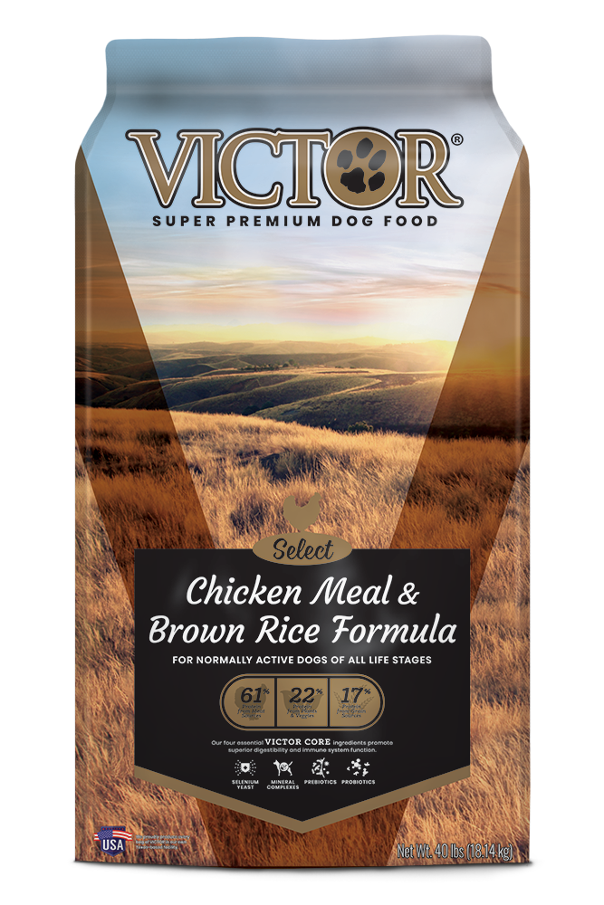 Victor Select Chicken Meal and Brown Rice Dog Food