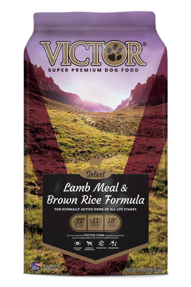 Victor Select Lamb Meal and Brown Rice Dog Food