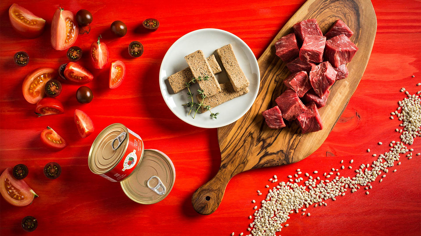 Fromm Four-Star Beef Paté Food for Cats