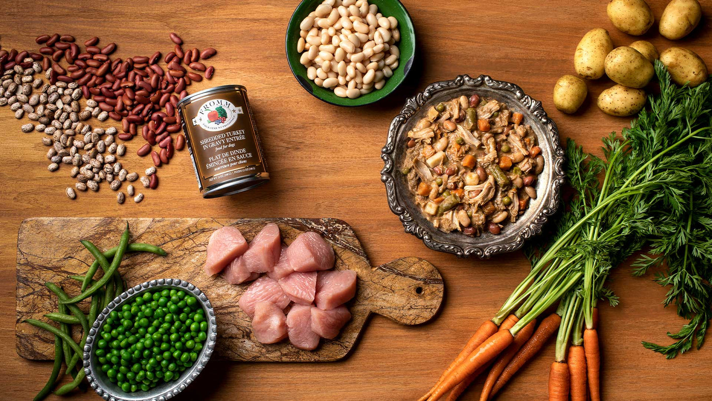 Fromm Four-Star Shredded Turkey in Gravy Entree Canned Dog Food